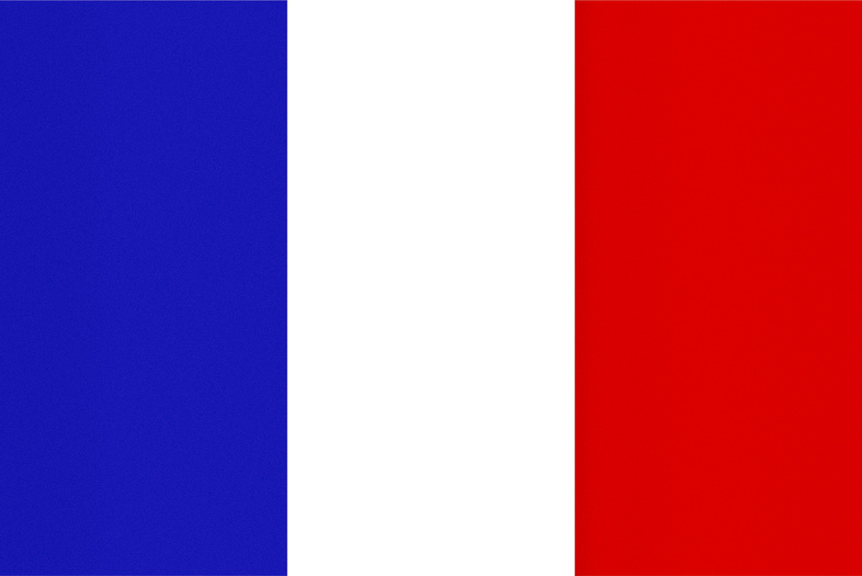 French Flag, Texturised